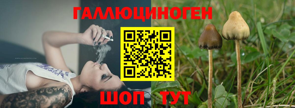 Галлюциногенные грибы мицелий  Вход с VPN  Воркута 